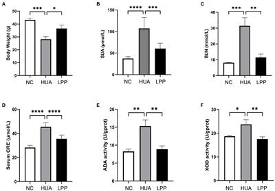 Lactiplantibacillus pentosus P2020 protects the hyperuricemia and renal inflammation in mice